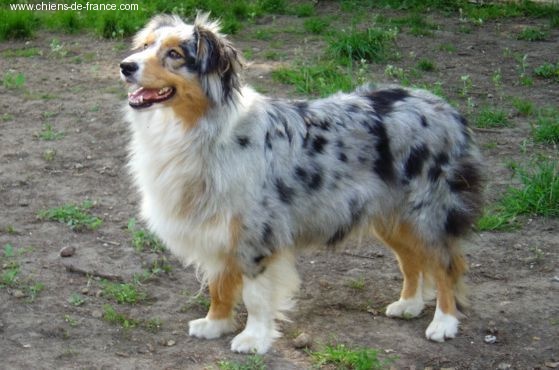 Aliyah Thistle be a breeze