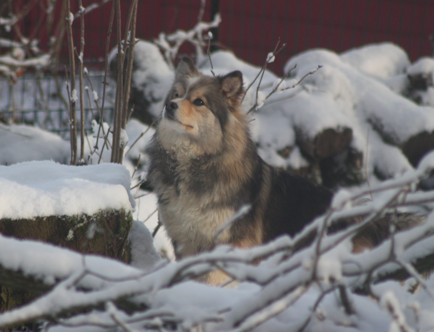 Versace charlotte du Domaine D'Arinella Bianca