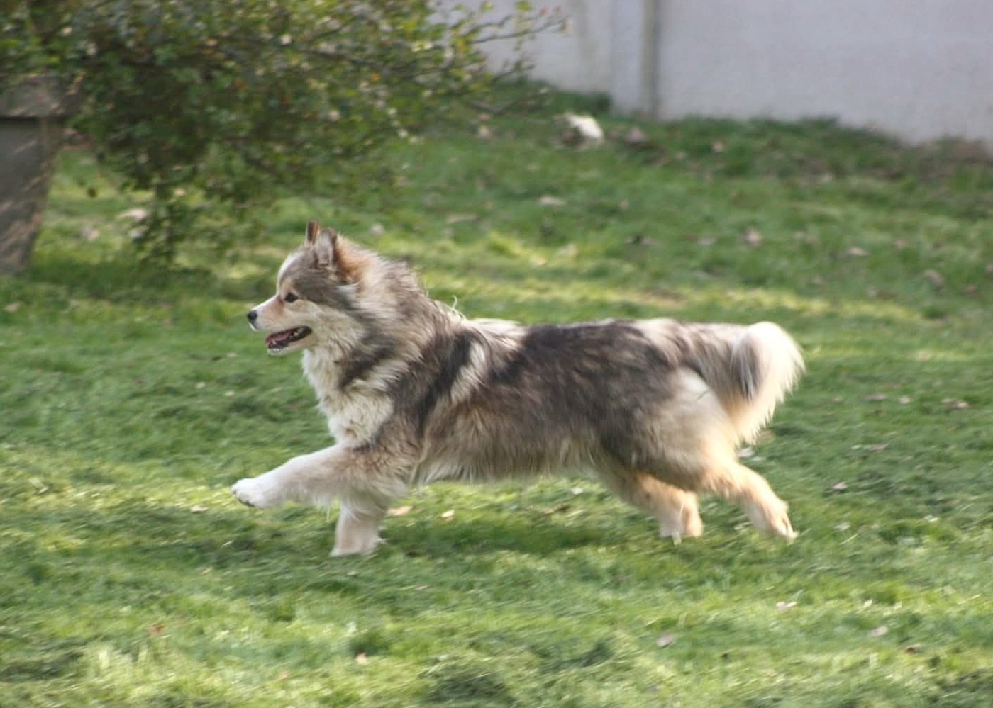 Versace charlotte du Domaine D'Arinella Bianca