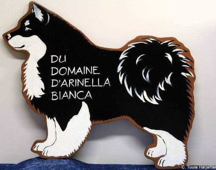 du Domaine D'Arinella Bianca