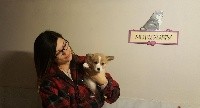 CHIOT