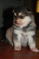 Fan di Fendi (dit Brooke)