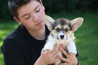CHIOT